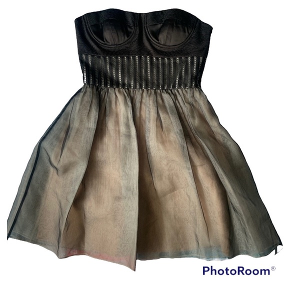 Vera Wang Lavender Label Silk Blend Strapless Corset Mini Dress - Picture 2 of 16